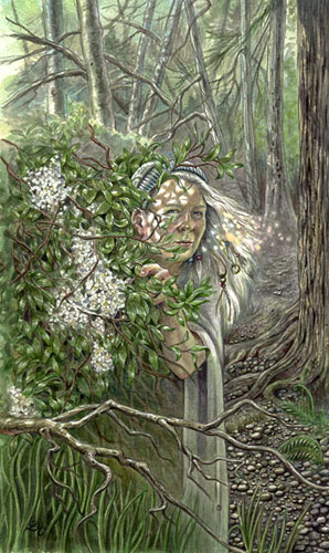 Elder -  The Hermit by Lisa Hunt