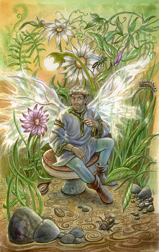 Lord Oberon - the King of Wands