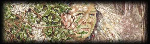 The Hermit - Fantastical Creatures Tarot